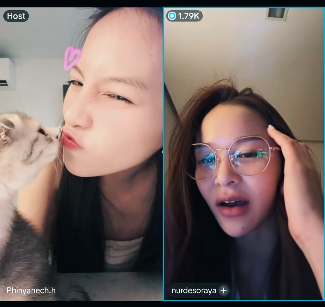 JanTr2511's tweet photo. Tới công chuyện rồi =)))))))) #Dobbywiki #Dobbythecat
🦌🐬💜
#TKNur #แตงกวาเหนือ
#nurdesoraya #TKphinyanech https://t.co/vbV6uW04Zd