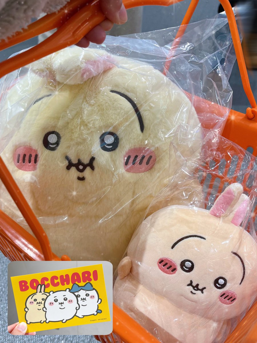 s_mile__28's tweet photo. ぼっちゃりグッズ買いに行った日にキラメッコもあったので、ついにこちらの子もお迎えしました🧸💛 https://t.co/t3TtC6G3c7