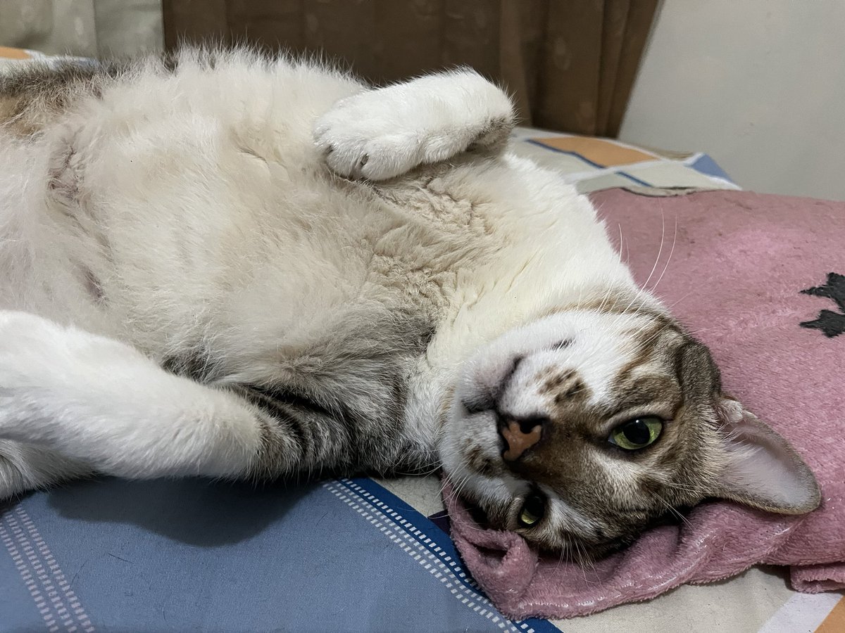 do-ra-mi ❌
uma-mi✅