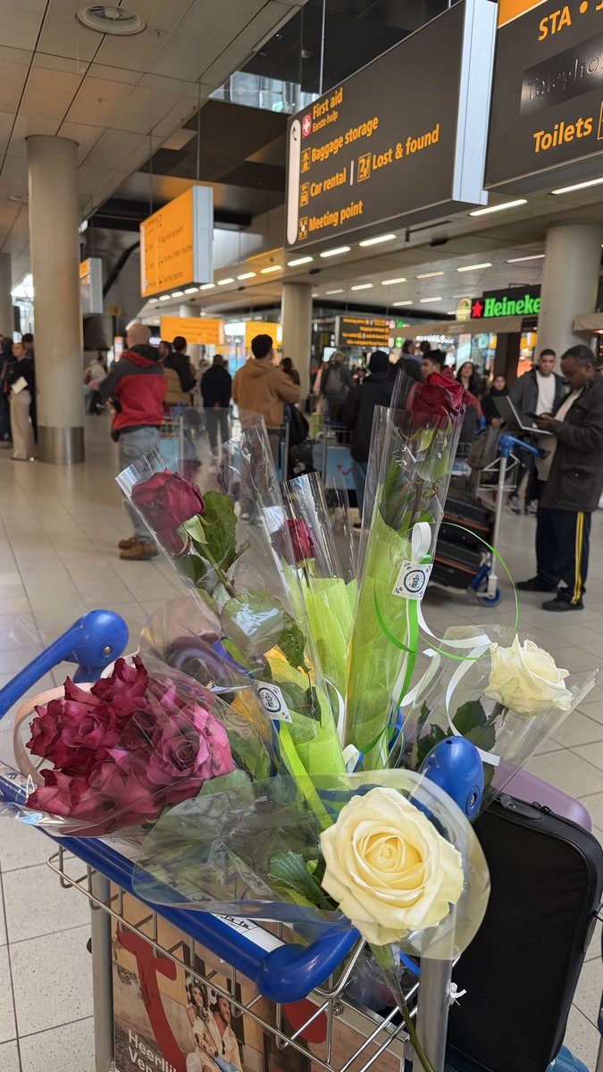 دائماً مها tweet media