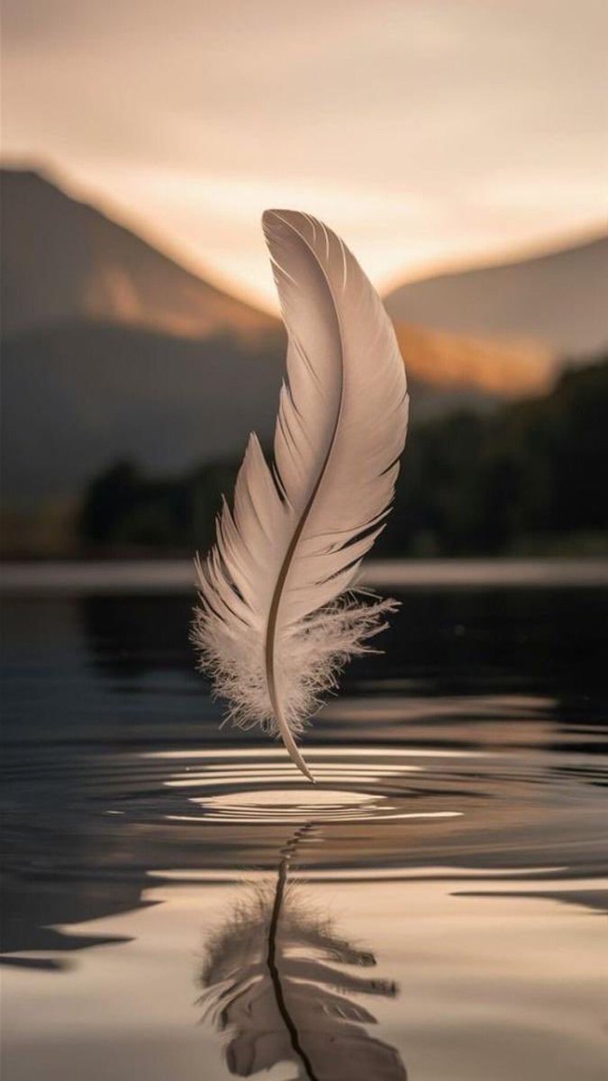 #تأملات_ابوشعنون 

دواخلك                
أرضٌ مُقدّسة            
لا يملك أحد حق السيادة عليها 
سواك                 
فَعِش كما أنت ، لا كما يُملى عليك
واعتزّ بكل ما فيك         
 ولا تُخفِ شعورًا يحكيك     
 بل أظهره              
فالصوت الصادق  
 لا يُخطئ طريقه
#مساء_الخير