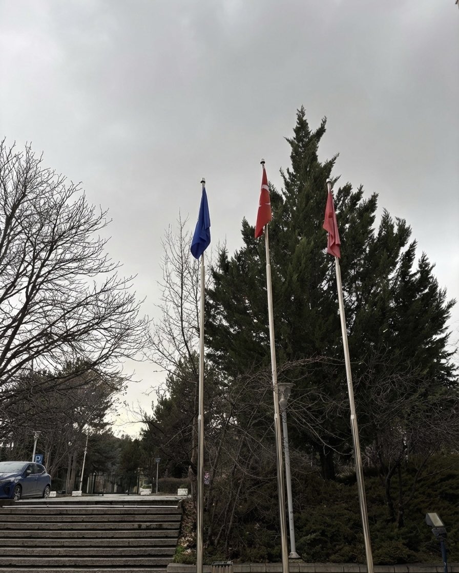 Kampüslerde varsak, varız.

Roaring Sound Of Campuses
📍Hacettepe Üniversitesi 
📍ÖDTÜniversitesi
📍Ankara Üniversitesi 

<a href="/uniturbey/">Üniversiteli Turbeyler</a> 
#Adanaspor #KampüslerinEfendisi