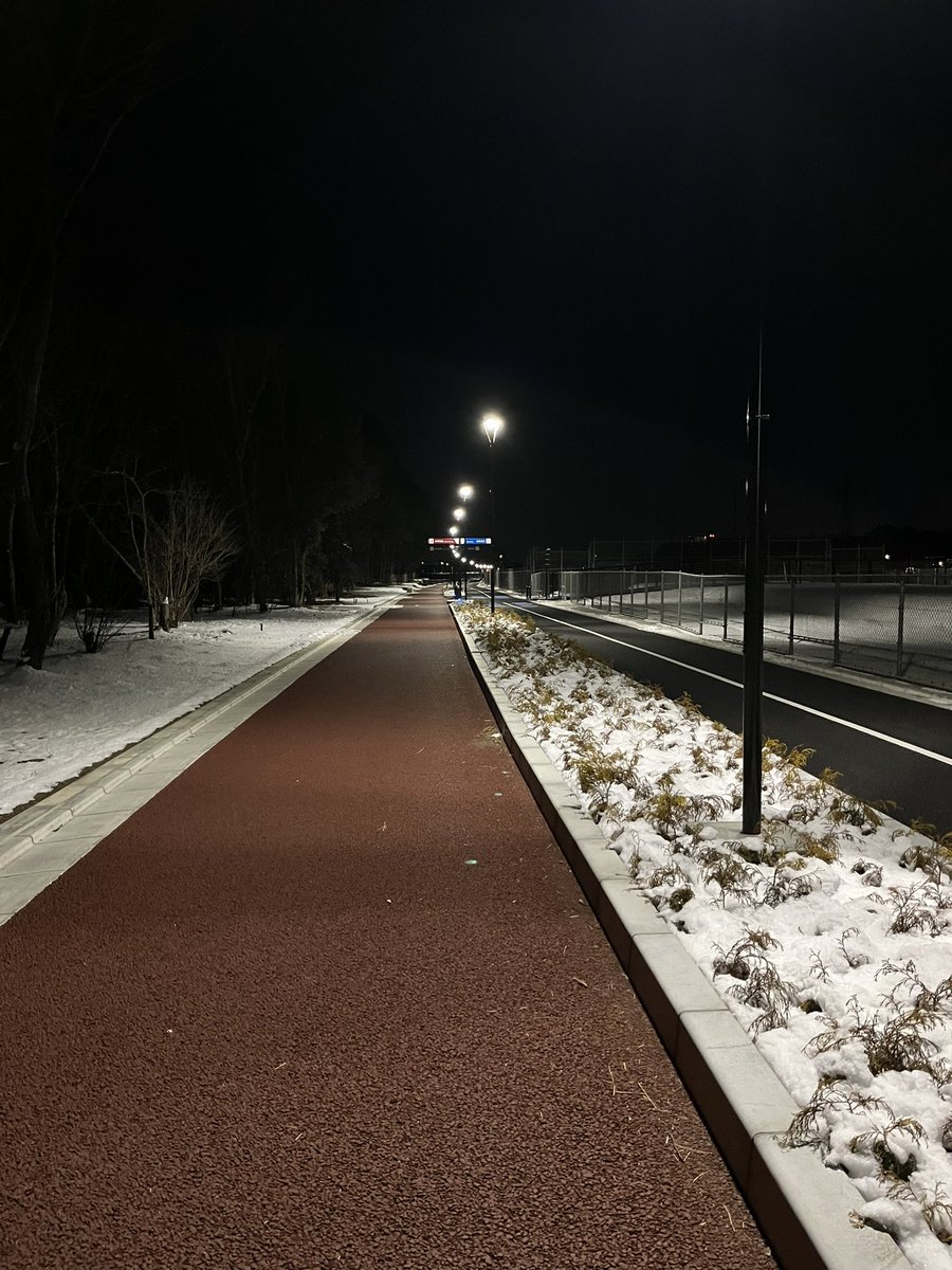 万博記念公園から家までの新しくできた歩行者道路なかなか気に入ってる
深夜に森通らなくて良くなった