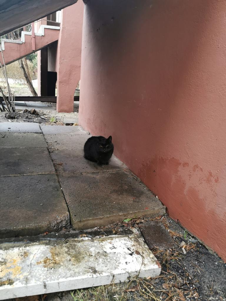 basiulowo's tweet photo. #Trixi #Kastorek i porcja jedzonka, trzeba od razu zjeść, nie ma na co czekać.... #BasiulowoNews https://t.co/BJMAZKblkS