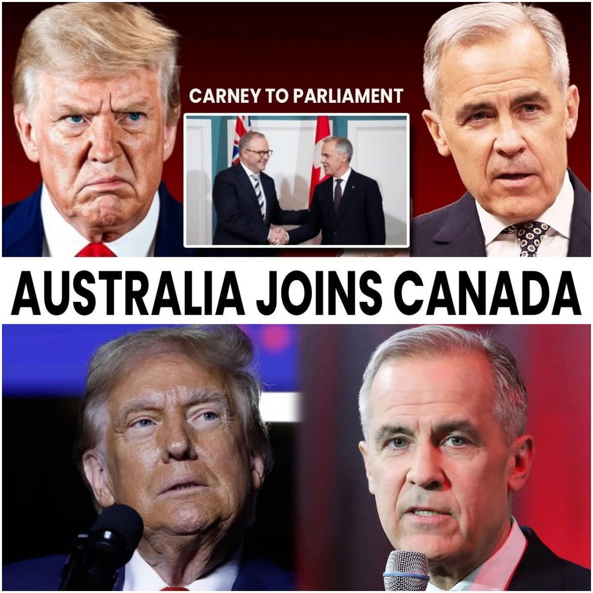 👍🇨🇦🇨🇦🇨🇦