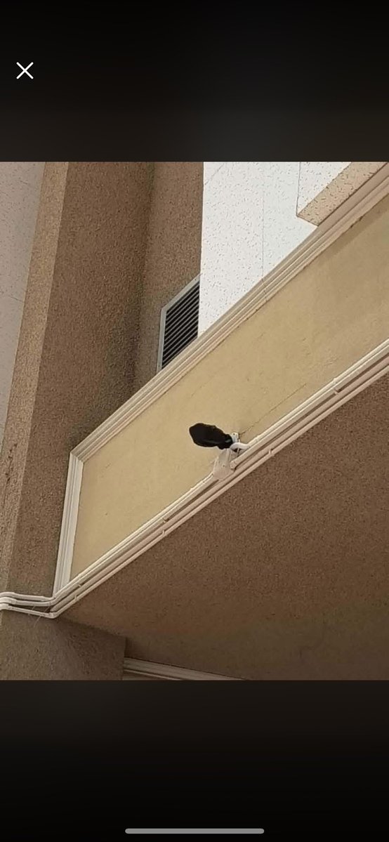 Cxddx1's tweet image. ในบริเวณที่นับคะแนนกกตเอาถุงดำมาคลุมกล้อง วงจรปิดด้วยค่ะ