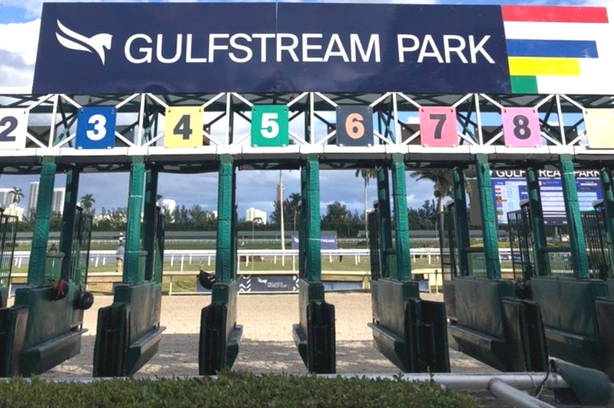 CHUVIJIMENEZ's tweet photo. #Hipismo || Domingo #8Feb
#RegaloDeChuviJimenez 🔥
#GulfstreamPark 🇺🇸
"F-16"
👇
(1a.3-11)
(2a.5-6)
(3a.7-2)
(4a.7-2)
(5a.6 #BestBets)
(6a.6-10)
(7a.8 #BestBets)
(8a.1-7)
(9a.7-1)
(10a.12-5)
#GanaConChuviJimenez 💰
#larinconadaxclubhipico
#FelizDomingo 🌞 https://t.co/Rr5Rtde1uA