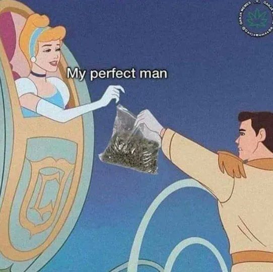 stoneythings's tweet image. the flowers your gf really wants for valentine's day