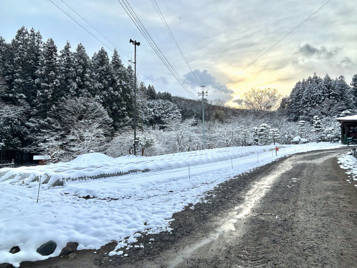 cute_bakeratta's tweet photo. ❄️でした。
それも、何かいつもと違う… 
ふわふわ?!?
東京でパウダースノーとは！

と言う訳で
撮りに行ってみました
(大荷田も東京です！^_^ ) https://t.co/0XgqdDKG3m