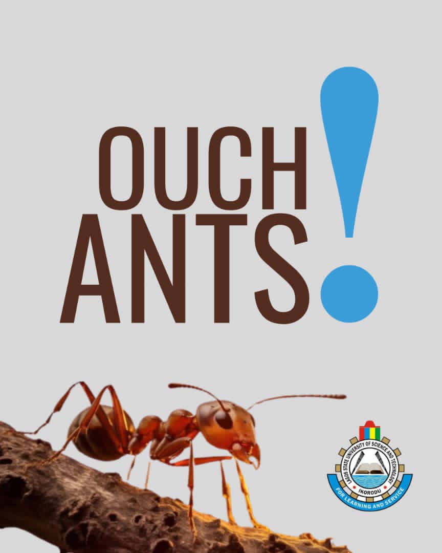 LASUSTECH Official tweet media