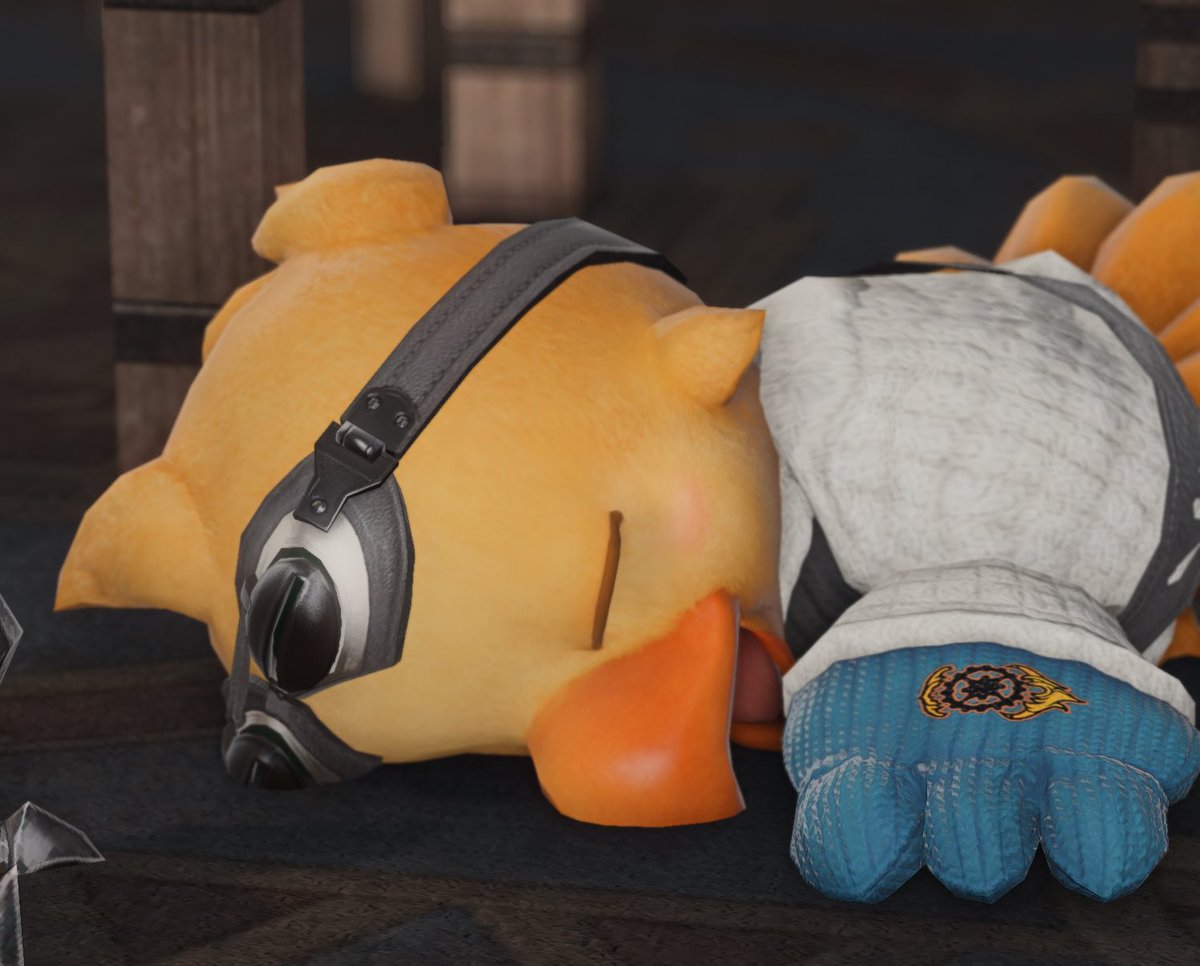 입벌리고 헤~ 자고있음 바보🐤