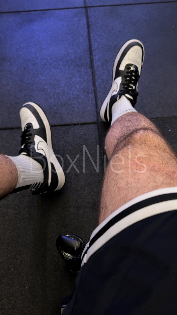 BoxNiels tweet media