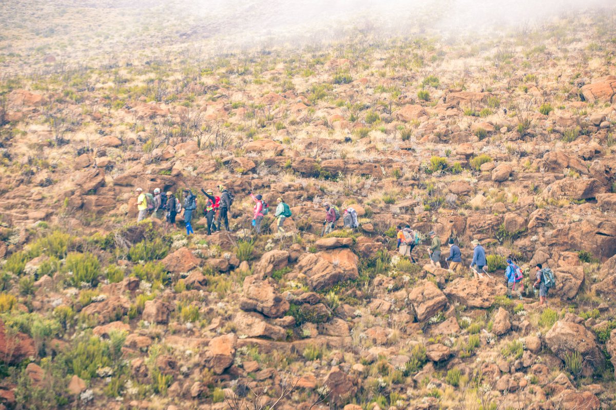 paceathletesC1's tweet image. We’ve faced cold mornings, tired legs, muddy shoes and still smiled because discomfort on the trail turns into pride at the top.

Hiking teaches humility. The mountain is always in charge- we don’t conquer it but rather respect it.

#stepbystep.