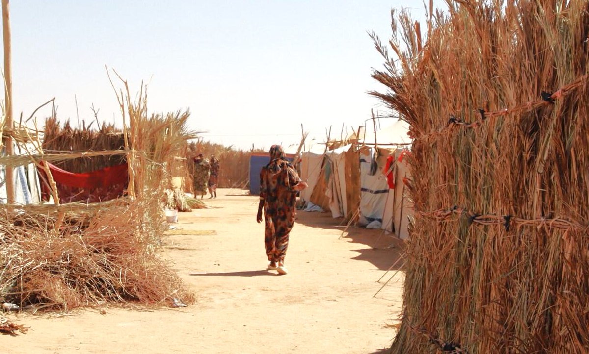 UNDP Sudan tweet media