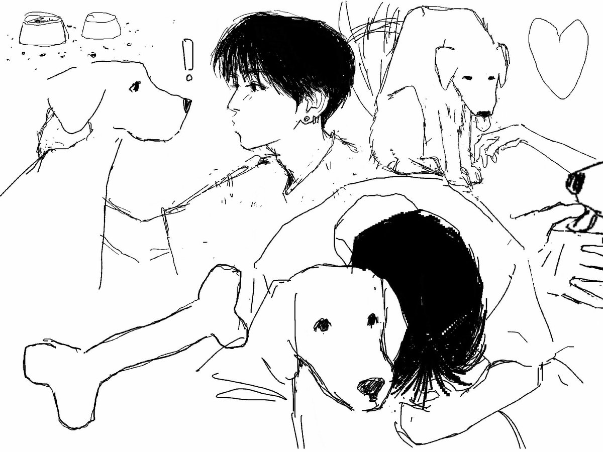 개와 사람