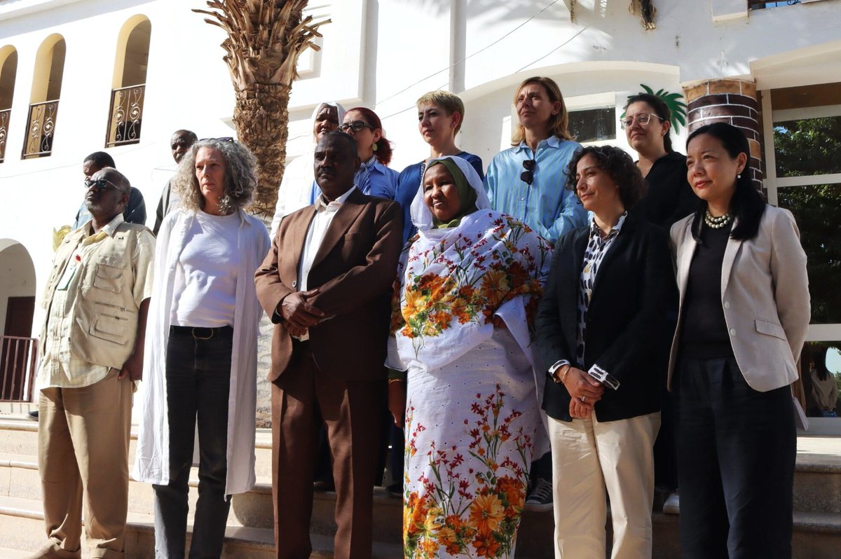 UNDP Sudan tweet media