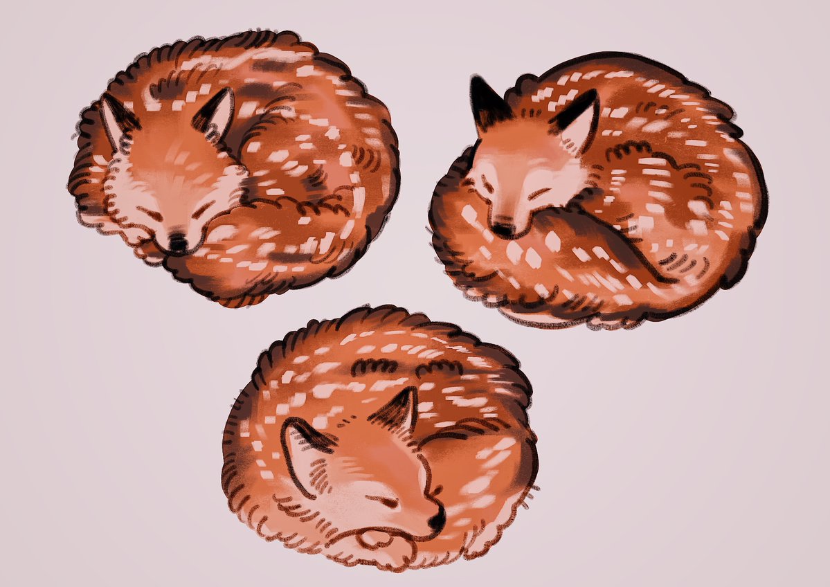 meyoco_'s tweet image. fawn fox