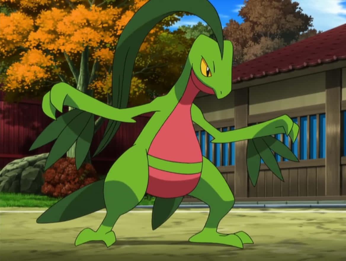 Domji⚡️| Pokemon tweet media