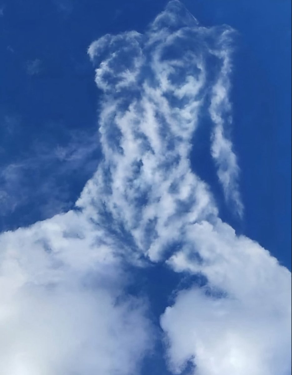 hard everything (@hrdevrythng) on Twitter photo 