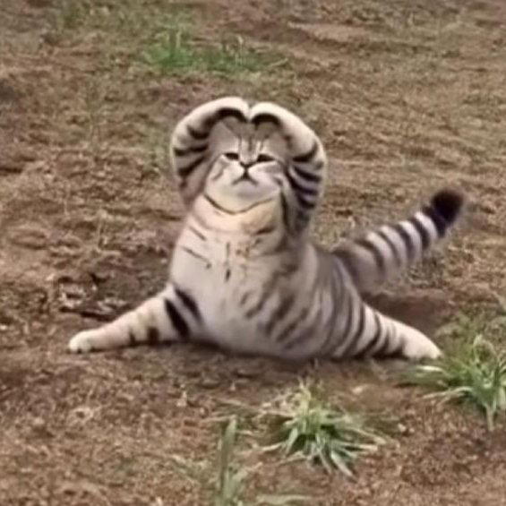 ぶんちょ🧣🔪 tweet media