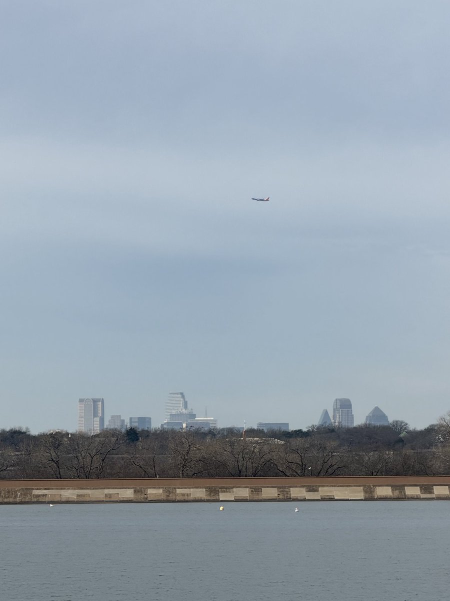 DAL Plane Spotting tweet media