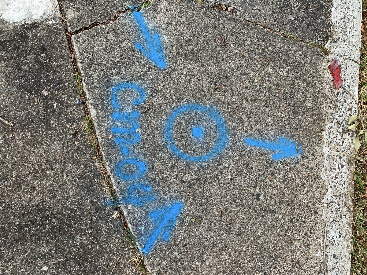 Mare.at.PTY tweet media