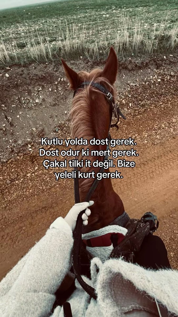 Ḋ (@tasdamlla) on Twitter photo 