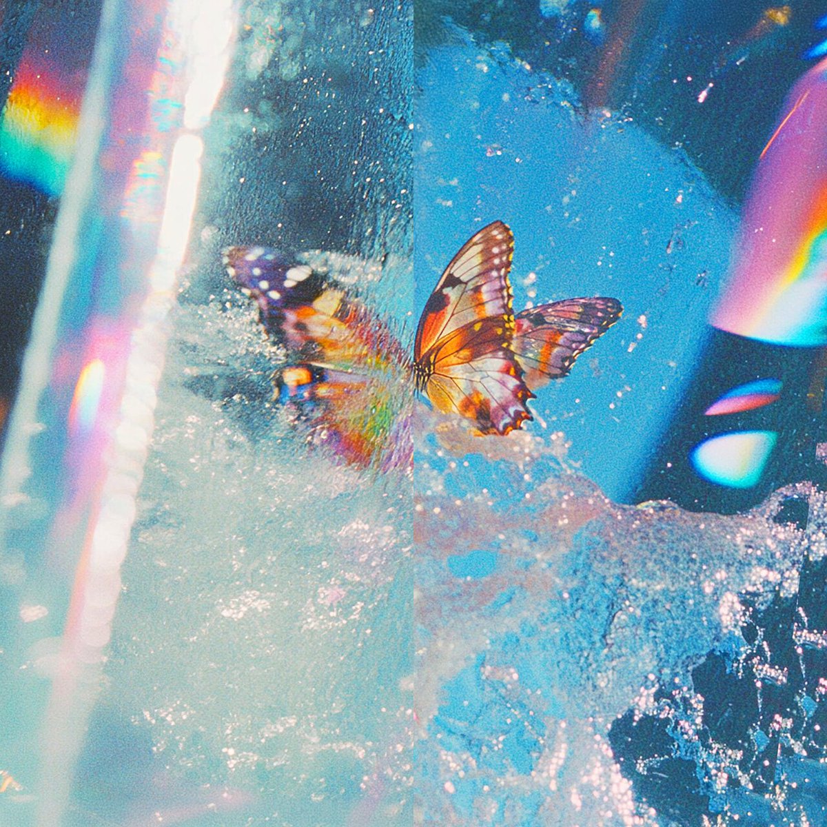 aucejito's tweet photo. Escucha Butterfly de Daphni https://t.co/72woTnlpDM https://t.co/jciEYIjRVe