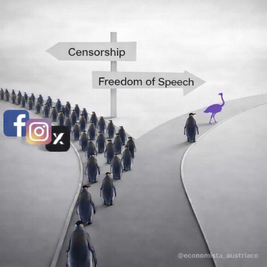 ⚡Articfox (@articfoxb123) on Twitter photo 