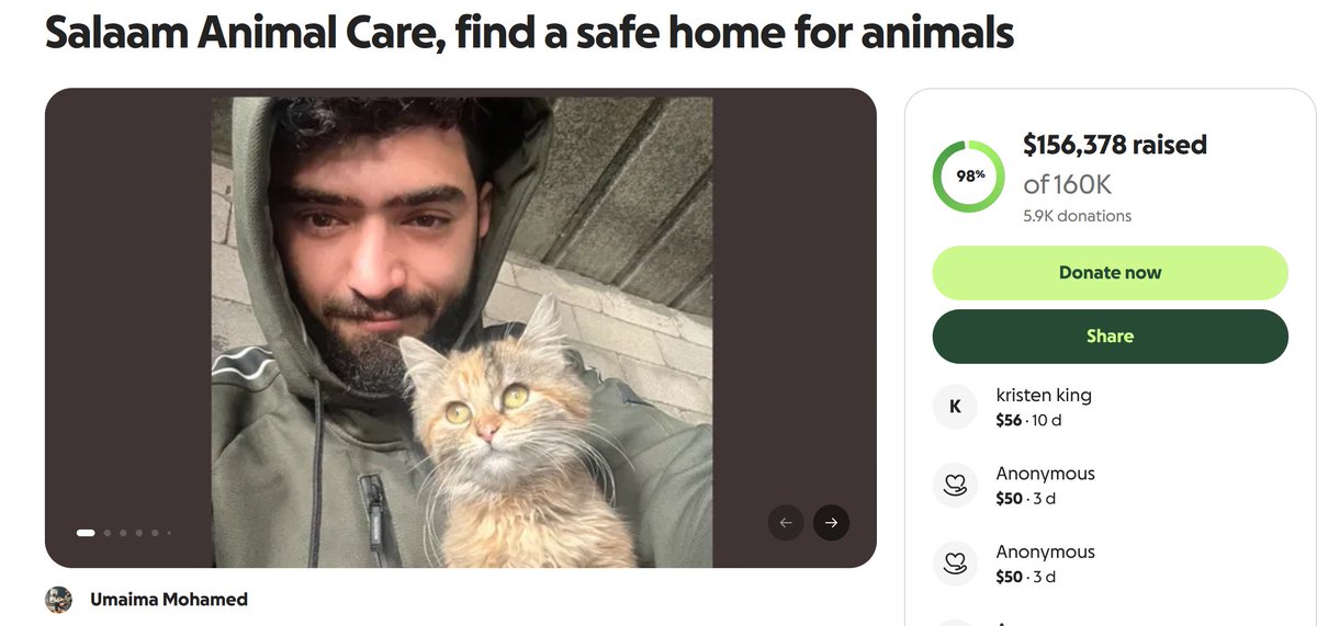 levantinedreams's tweet photo. @ShoeQueen0318 @ThatsAllAreanna @ThatsAllAreanna has endlessly skimmed thousands of dollars of donations from Palestinians via a GoFundMe for CATS in Gaza

As if Gaza isn't infested w/ rats—the cats can EAT the rats &amp; help out Palestine's population

A GFM that prioritizes cats over starving babies &amp; children🚩 https://t.co/4y2uSvUjU9