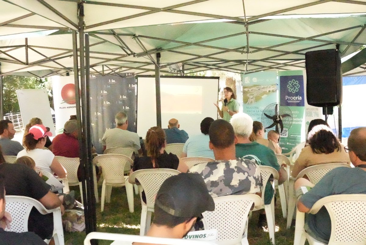 Plan Agropecuario tweet media