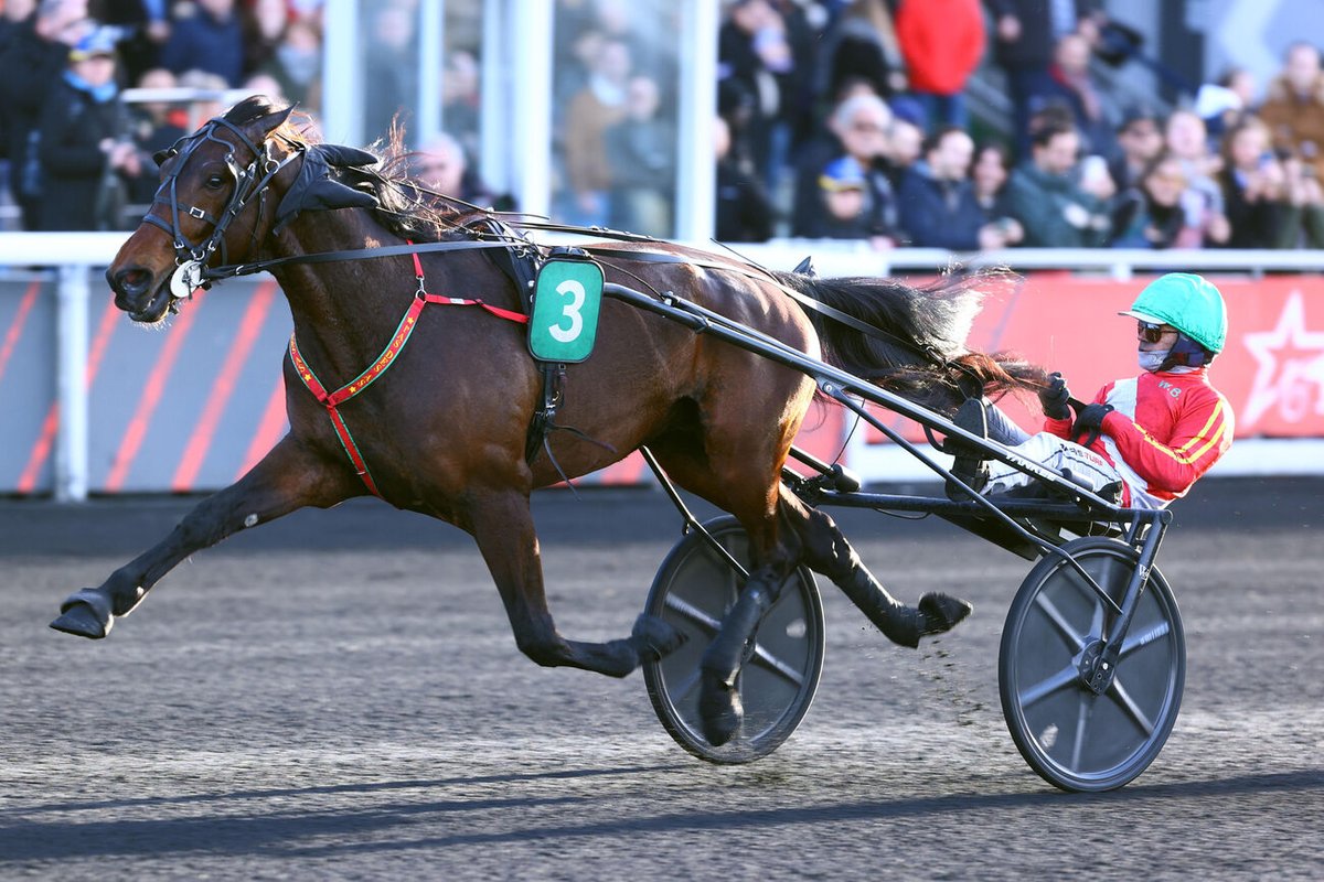 ARQANA Trot tweet media