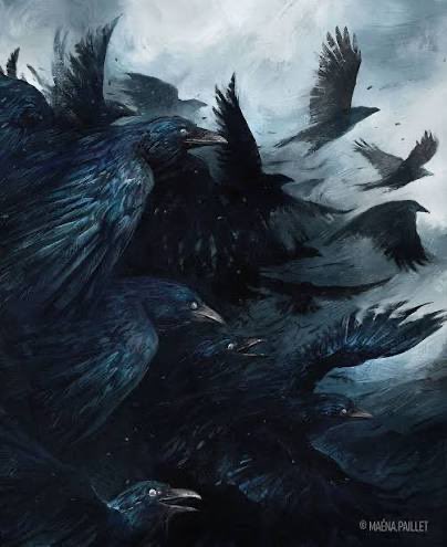 hatinmf's tweet photo. cr: The raven scholar https://t.co/rh6gUnBbp2