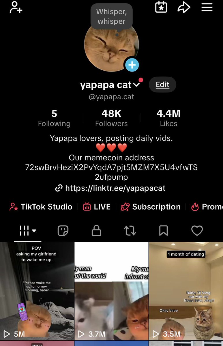 Yapapafan's tweet photo. new official $YAPAPA account 🐱

our previous account was suspended,
most likely due to mass reports from jealousy people 

for those new here:
YAPAPA is a viral cat born on social TikTok

50k+ followers on TikTok.
60M+ total views on TikTok.

instagram is growing fast:
400k+ followers.
1M+ views and counting.

big cat pages keep posting us organically. pages like cyberbananacat, larry, hobbikats and others
with millions of followers across platforms.

new website is live.
the game is live and expanding.
multiplayer playground in development.

TikTok: https://t.co/zA5wjt0O52

Website: https://t.co/bMHfXKOtlz

Instagram: https://t.co/EXr7UrU7gK

CA:
72swBrvHeziX2PvYqdA7pjt5MZM7X5U4vfwTS2ufpump