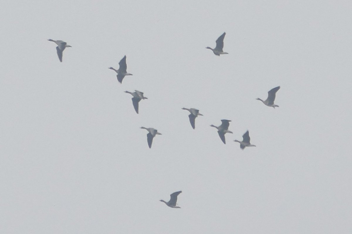 Thomas Porter tweet media