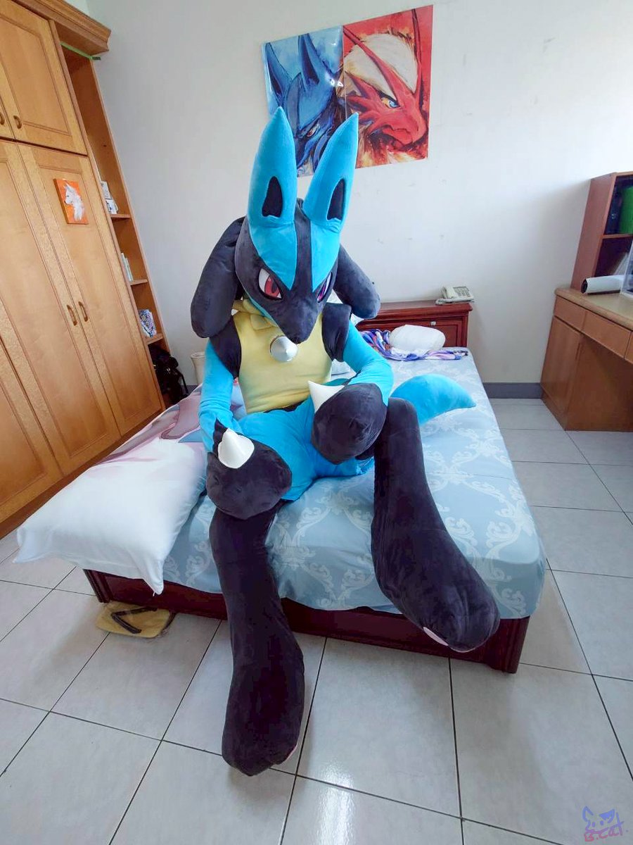 🇹🇼B. Cat⏩🇯🇵✧(순_순) tweet media