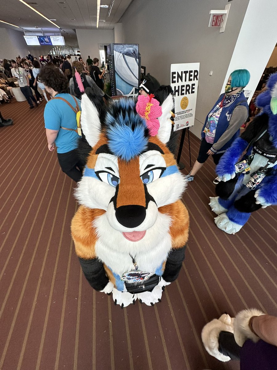 Syber 🔜 LVFC tweet media