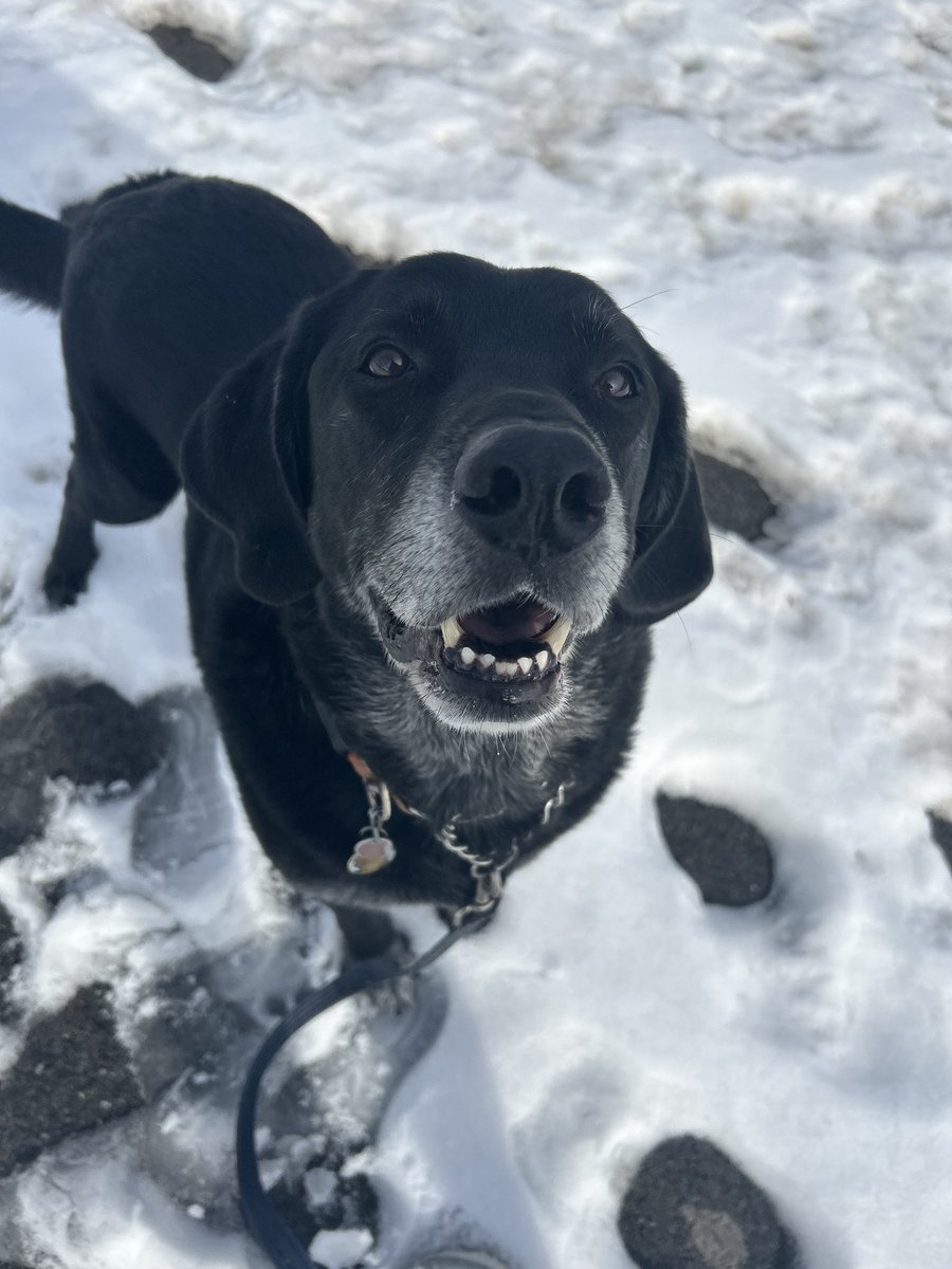 Kate Brummel tweet media