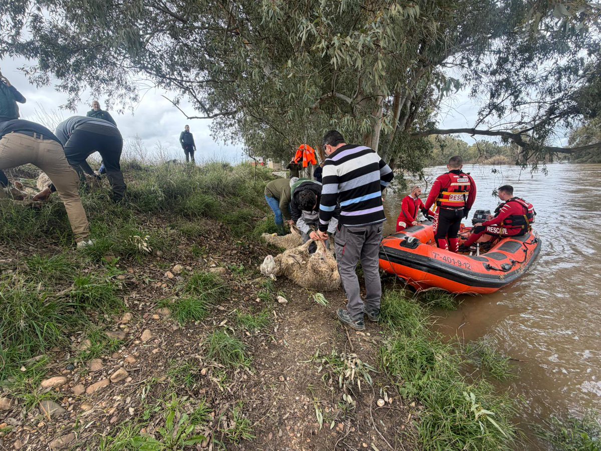 A fin de garantizar la seguridad de la intervención, hemos movilizado varias embarcaciones, además de contar con apoyo de Bomberos y Guardia Civil
