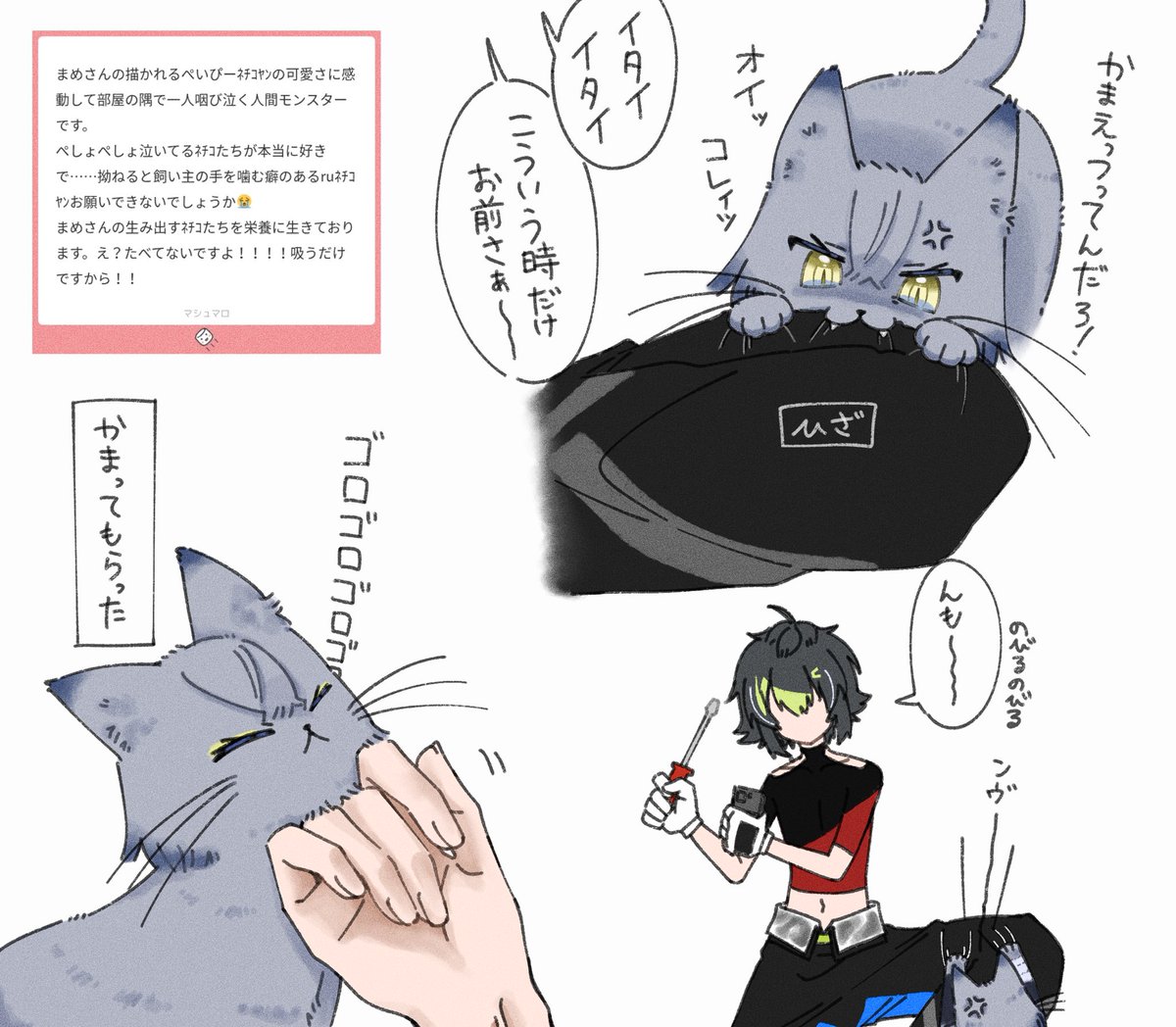 マシュマロ リクエスト