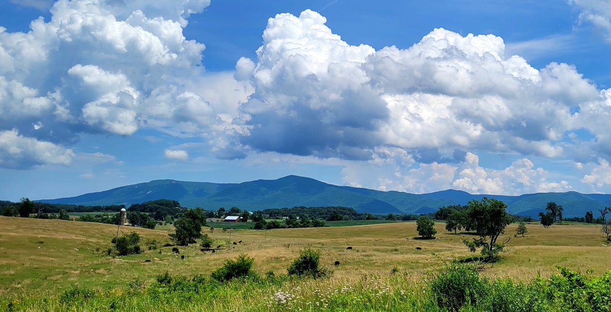 Oh, Shenandoah tweet media