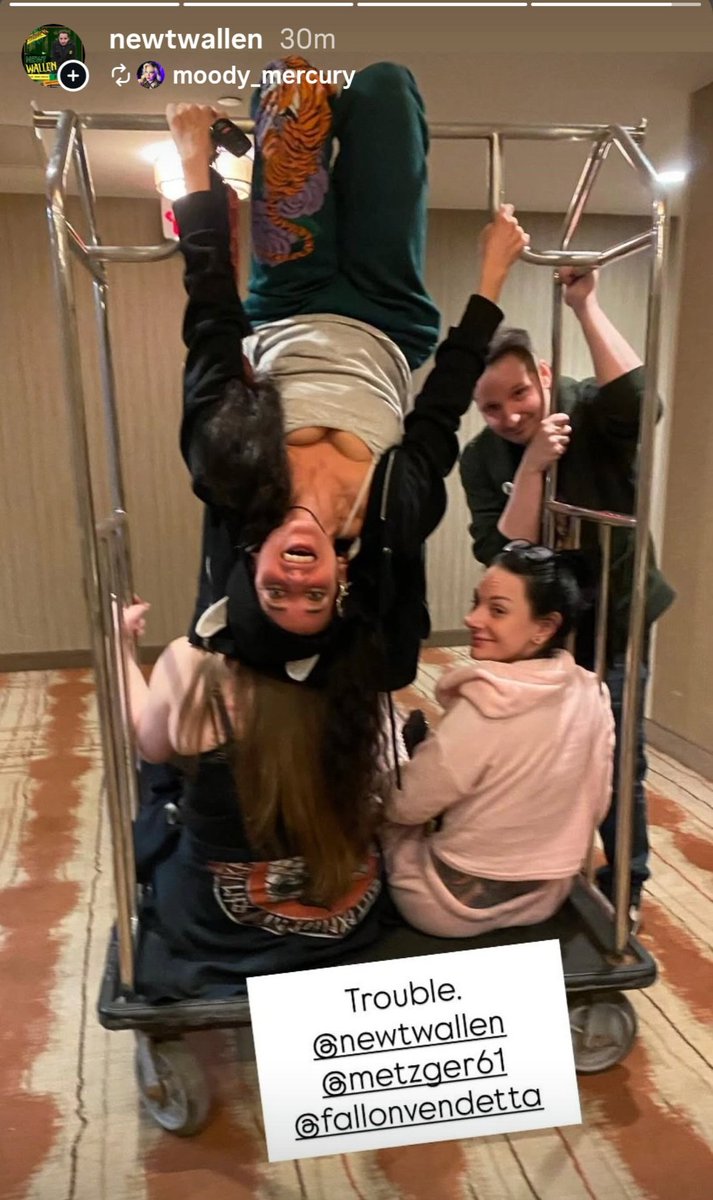 schlock awe tweet media