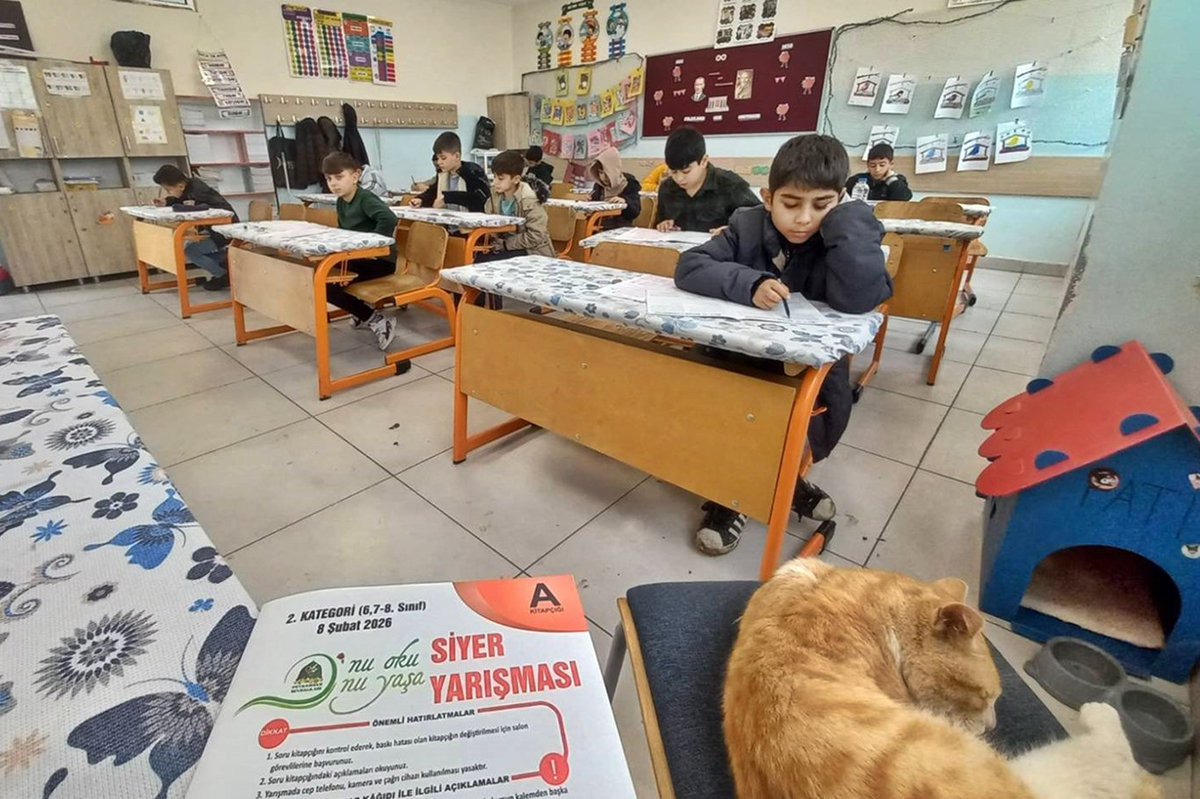 PSevdalilari73's tweet photo. Şırnak genelinde düzenlediğimiz “Onu Oku, Onu Yaşa” Siyer Yarışmamız, 7’den 70’e her yaştan katılımcının yoğun ilgisiyle gerçekleşti.
Peygamber Efendimizin (sav) hayatını öğrenme ve yaşama yolunda destek sunan ve yardımcı olanlara teşekkür ederiz.
#SiyerYarışması https://t.co/nZa02jLa1D