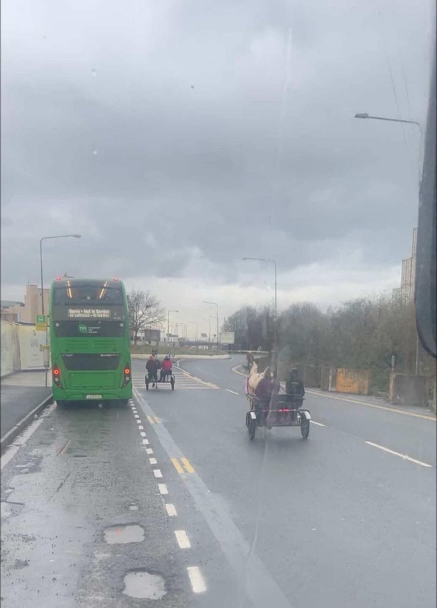 MyLovelyHorseR's tweet image. 😡😡😡😡😡
MORE SPOTTED
😡😡😡😡😡
ONE WEEK TOMORROW ANNE AND HER BABY DIED AFTER SKIDDING ON THE N4 ROAD ONLY MINUTES FROM BALLYFERMOT. THE COWARDS RAN AFTER KICKING AND WHIPPING HER TO GET UP 😡😡😡😡

This photo has just come into us…taken near Irish Town, Dublin. 😡😡😡😡…