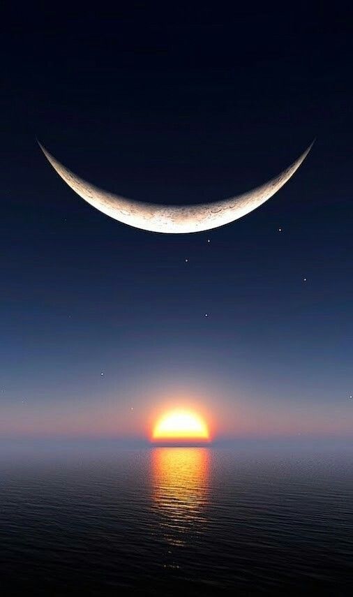 Ramblings tweet media