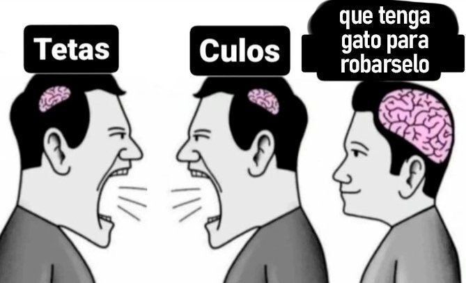 chincheto pirata somali (@wikipistacho) on Twitter photo 