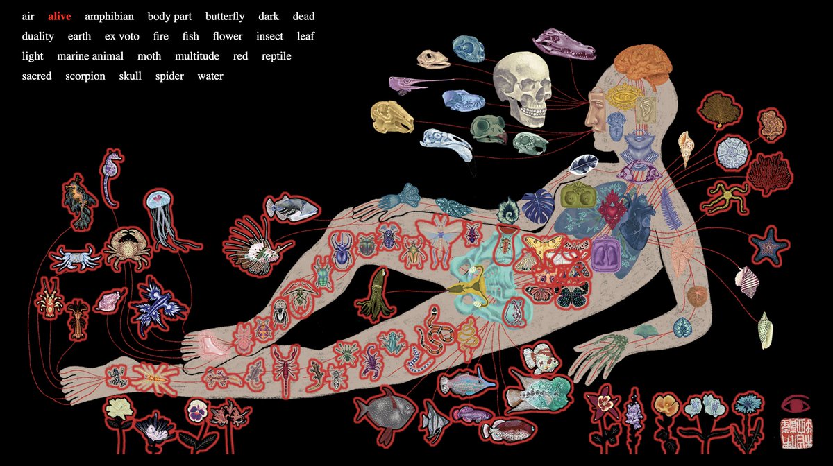 Kaprekar.eth โ โ tweet media