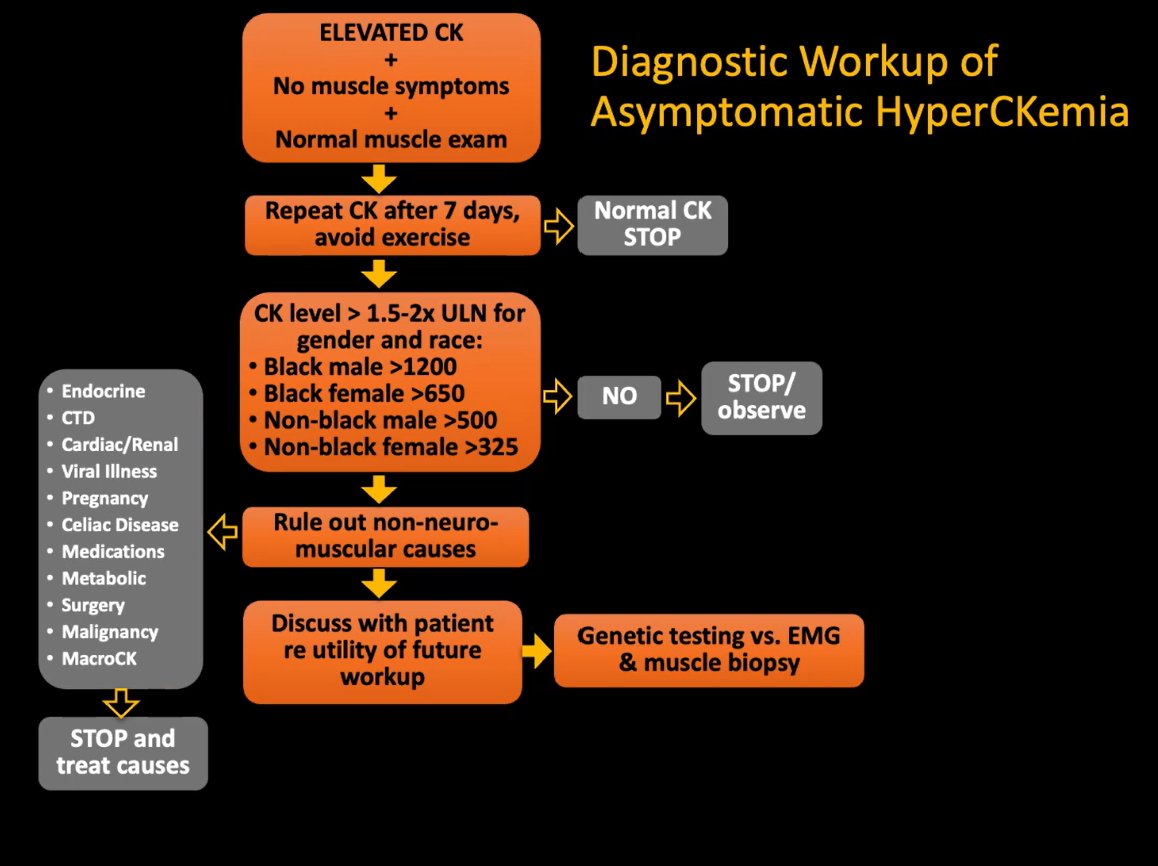 Mike Putman tweet media