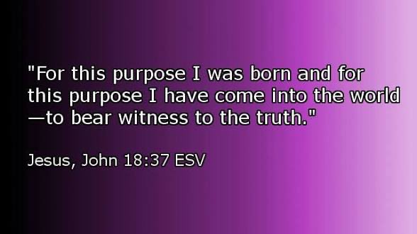 🗽Dana Dickerson🏹❤️‍🔥 tweet media