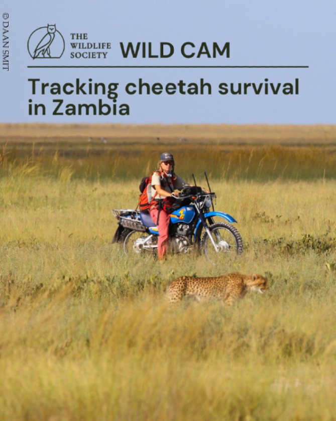 The Wildlife Society tweet media